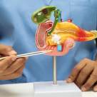 Mirosul bizar care poate fi primul semn al unui cancer pancreatic. Apare înainte de simptomele clasice