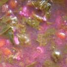 Cum preparam verdeturile de sezon: Ciorba de loboda