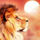 7 cele mai bune motive pentru care sunt mândru că sunt în zodia LEU