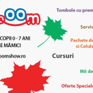 Primul scaun auto din lume care se transforma in carucior la Baby Boom Show – editia de toamna