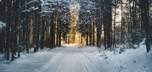 In ce anotimp esti nascuta?