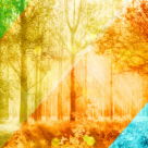 Anotimpurile vietii - pilda care te va invata sa nu mai judeci niciodata un om dupa perioada grea prin care trece