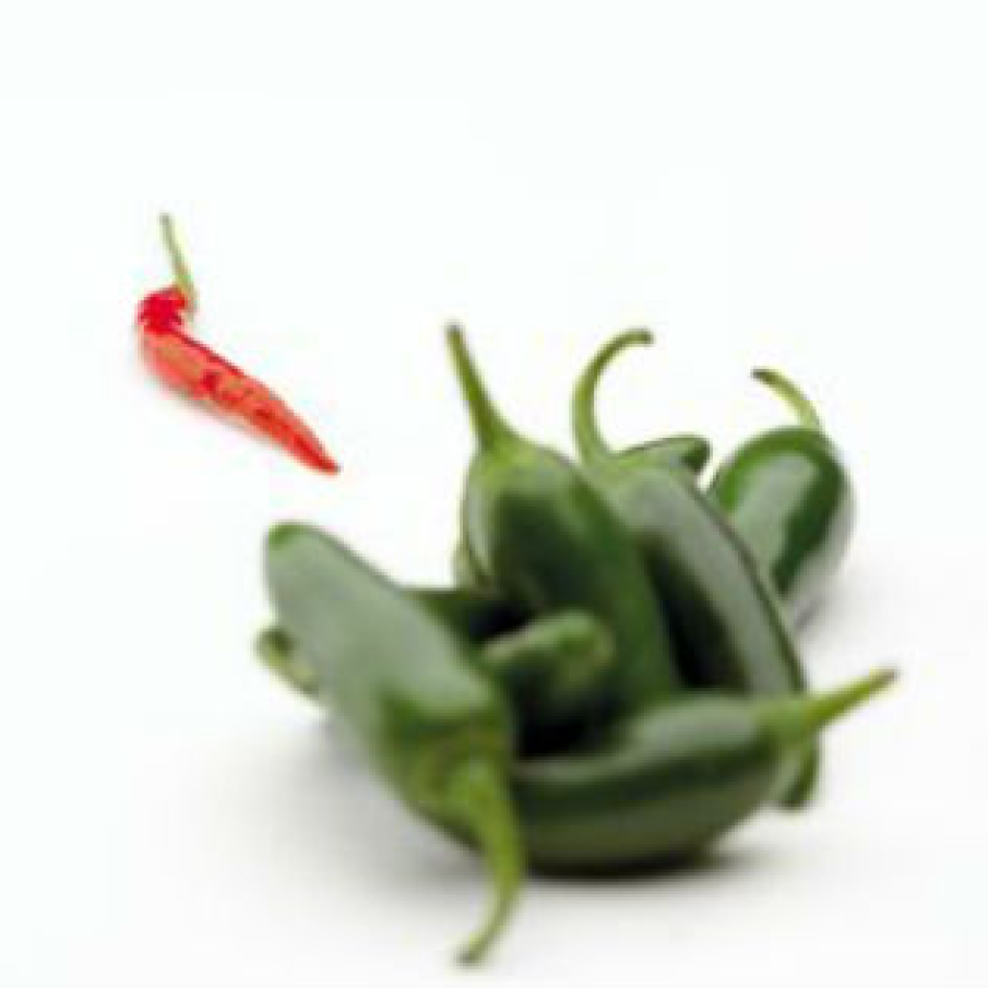 Ardeiul usturat (Chilli) 