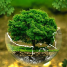 Kaufland anunță noi măsuri împotriva utilizării plasticului