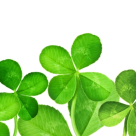 Cum sa-ti ajuti norocul. Patru principii simple care iti vor schimba norocul – si viata