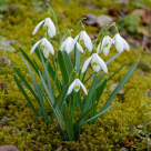 Tradiţiile autentice care îţi aduc primăvara în suflet