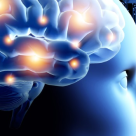 Cand vorbesti, sa vorbesti cu dragoste. Cuvintele pot realmente sa iti schimbe creierul! 