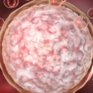 Criogenarea ovulelor, solutia pentru femeile care vor sa aiba copii dupa 40 de ani