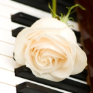 Cele mai frumoase melodii ale Madalinei Manole