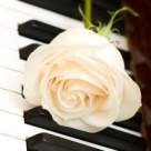 Cele mai frumoase melodii ale Madalinei Manole