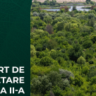 Bucureștenii respiră un aer tot mai toxic: 60% din poluare vine din trafic.