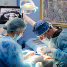 (P) 1 din 3 romani si-a pierdut toti dintii. DENT ESTET organizeaza Implant Connect