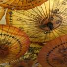 Horoscopul Chinezesc al iubirii pentru Primul Trimestru - Primavara  2011