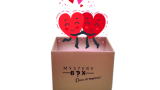 Mystery Box Love Duo