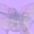 TEST OPTIC: Primul animal pe care il vezi in aceasta imagine iti arata cine esti!