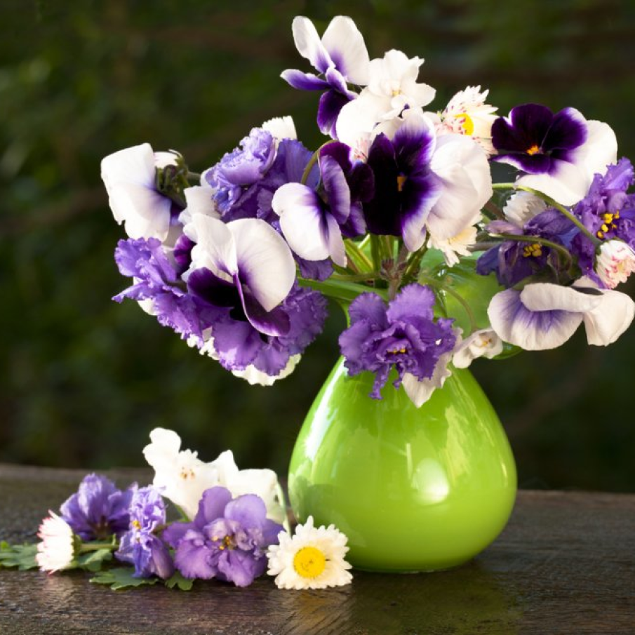 Poveste cu panselute 