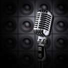 Sighisoara Blues Festival 2011