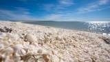 Shell Beach sau plaja cu scoici din Australia de vest, regiunea Shark Bay (Golful rechinului) - probabil cea mai frumoasă plajă cu scoici din lume