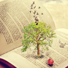 Deepak Chopra -  15 sfaturi despre viață de la un înțelept contemporan