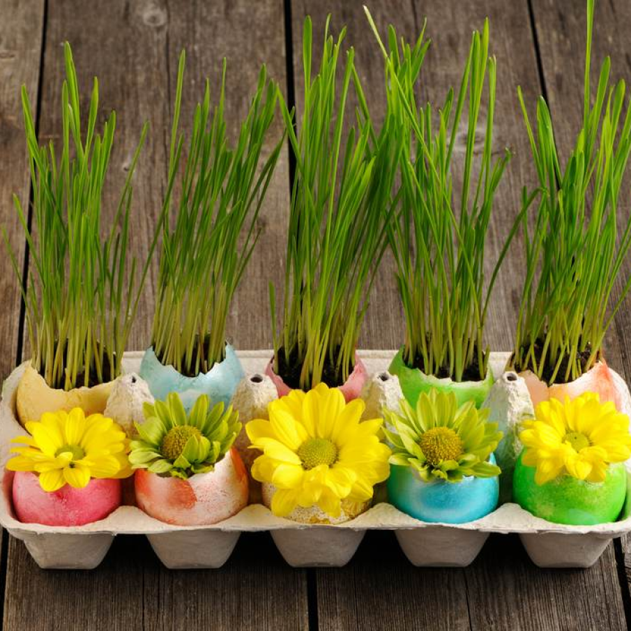 Cofraj de oua cu oua decorate cu flori si oua cu grau verde in pamant