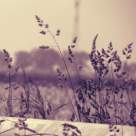 Asa am fost eu fericita... Cele 10 legi-cheie ale unei fericiri frumoase!