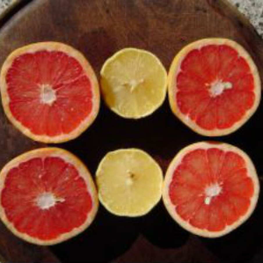 Grapefruit