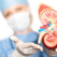 Transplantul renal - tot ce trebuie să știi despre cel mai frecvent transplant de organe