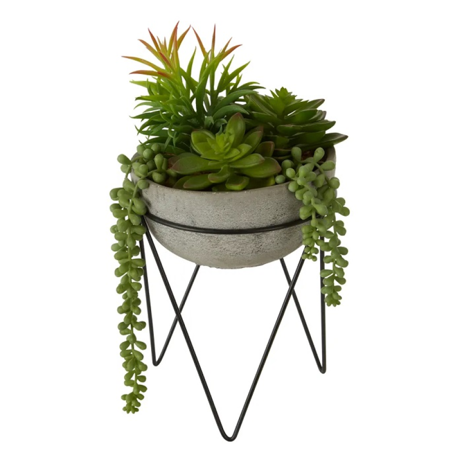 Plantă suculentă artificială, cu înălțime de 36 cm, by Premier Housewares, pentru un design deosebit și elegant 