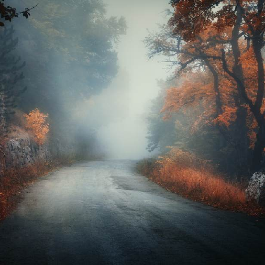 Padurea isi ascunde misterele mai bine toamna 