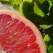 Dieta cu Grapefruit - slabeste intre 6 si 10 kilograme