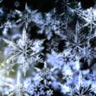 Poveste fericita din ziua de Craciun