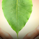 Citește rugăciunea preferată a lui Dalai Lama, o rugăciune extraordinară despre puterea compasiunii și a conexiunii