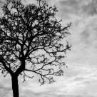 Ce spune Dalai Lama despre moarte? Iată ce se întâmplă când mori…