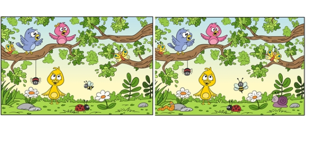 Cate diferente gasesti?