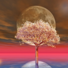 Luna sangerie si Eclipsa Totala de Luna din 4 aprilie – Portalul DRAGOSTEI