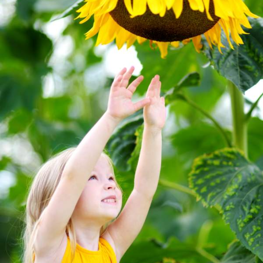 Am crescut cât tine