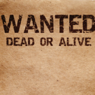 Anunturi matrimoniale amuzante: barbati in cautarea sotiei perfecte