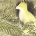 'Gon, puiul de vulpe' - o capodoperă a literaturii japoneze pentru copii