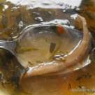 Ciorba de ciuperci pleurotus