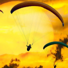 Plan2Surprise, pentru cadouri de neuitat!