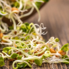 Germenii - Au proprietati energetice si nutritionale unice! 