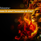 Horoscopul Chinezesc: Ce noroc vei avea in anul Cocosului de Foc?