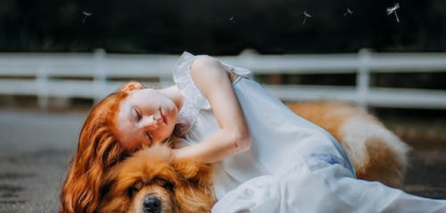 Cum reactionezi cand planurile tale sunt date peste cap?