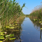 Romania e frumoasa! Top 3 obiective turistice de vizitat in zona Maliuc - Delta Dunarii 