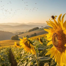 Test de spiritualitate: Care vor fi cele mai norocoase zile pentru tine în iunie 2025?