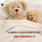 (P)Visul unei zile de iarna