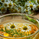 Ceaiul de mușețel – proprietăți, beneficii și utilizări