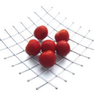 Cele 5 elemente necesare vietii