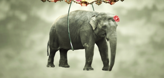 La ce te duce cu gandul aceasta imagine?