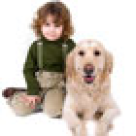 Bebe si animalul de companie- cei mai buni prieteni